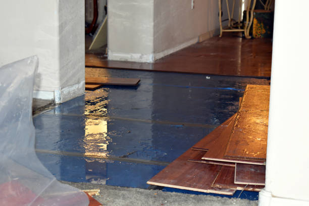 Professional Water Damage Restoration technician working in Cairo, MO